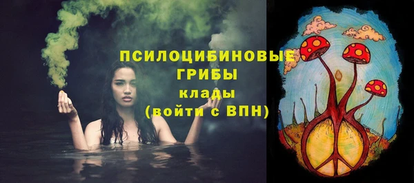 твердый Няндома