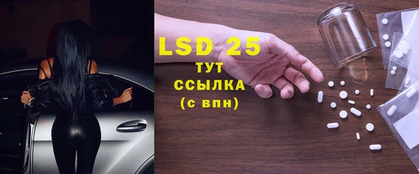 шишки Новокубанск
