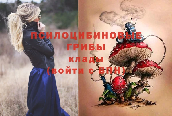 твердый Няндома