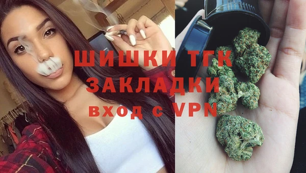 твердый Няндома