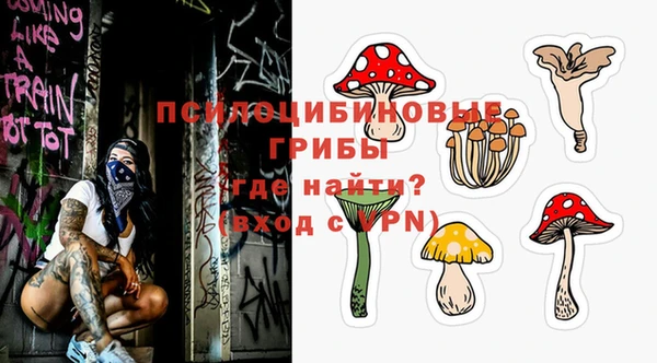 твердый Няндома