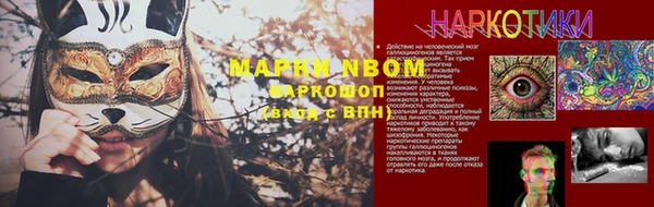 ешки Новозыбков