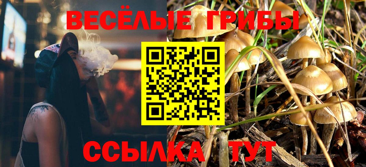 Кумертау  Псилоцибиновые грибы прущие грибы  Вход с VPN 